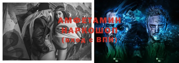 2c-b Пестово