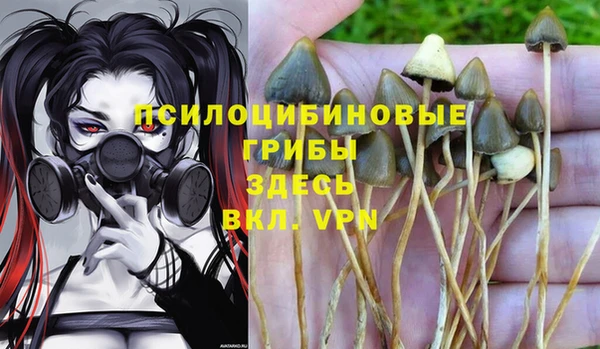 ешки Переславль-Залесский