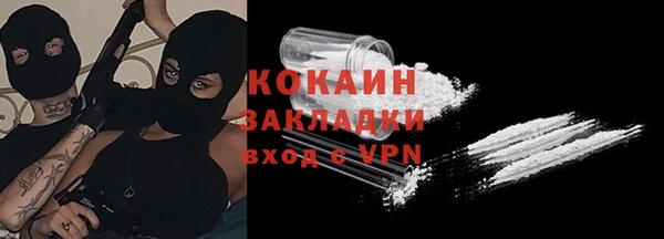 2c-b Пестово
