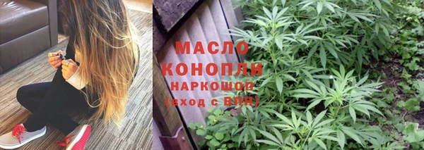 ECSTASY Пересвет