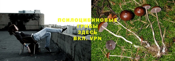 ешки Переславль-Залесский
