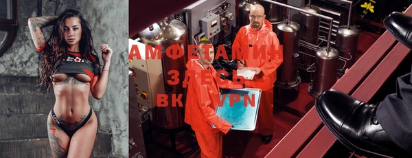 2c-b Пестово