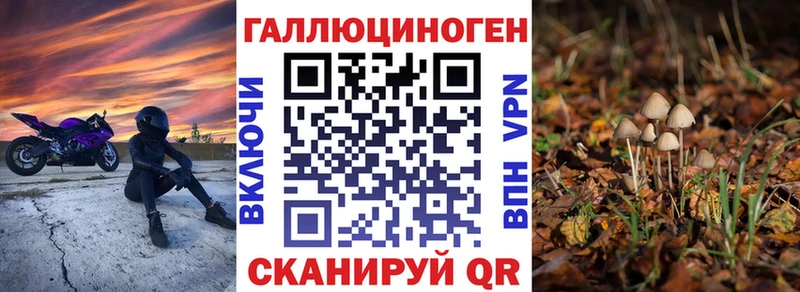 Галлюциногенные грибы Psilocybe  hydra ONION  Ильский 